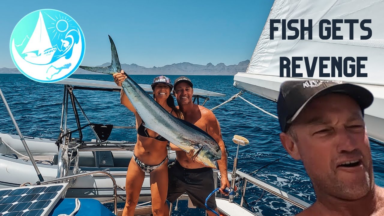 FISH trying to escape | Ep 371
