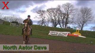 preview picture of video 'North Astor Dave from Exmoor Eventing'