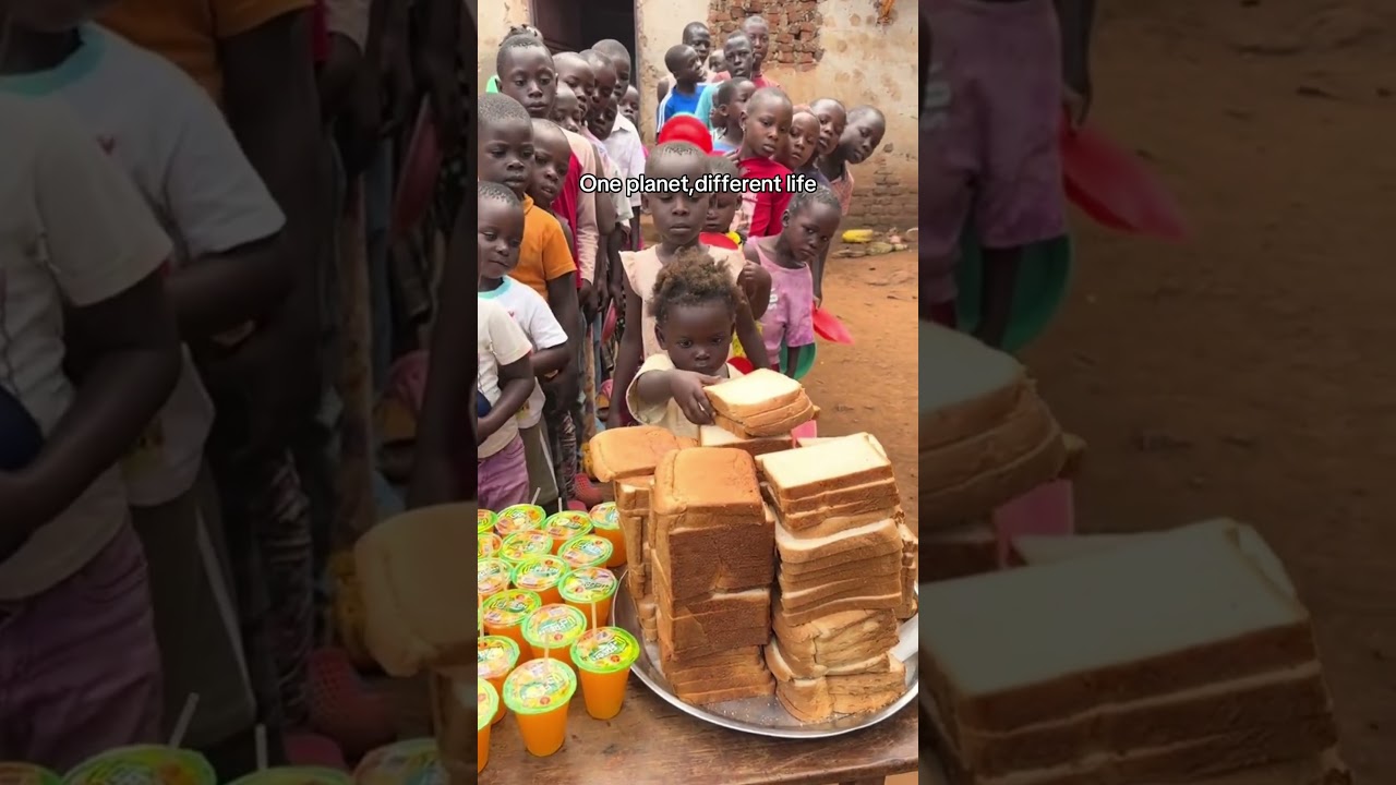 One planet, different life