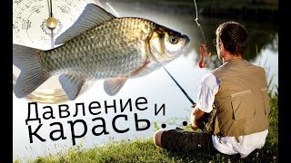 При каком давлении клюет рыба летом в москве