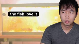 thunderstorm mode is insane | Fish Tank Review 341