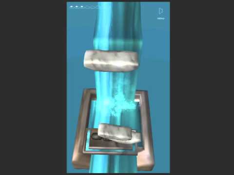 Stones of Tranquility (3d) Video