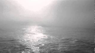 Infusion - Daylight Hours