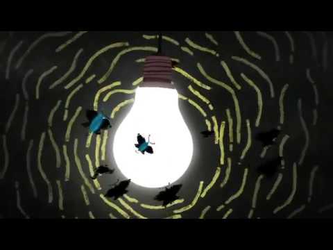 Anjinho - Taciana Barros (Pequeno Cidadão)