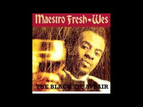 Maestro Fresh Wes - The Black Tie Affair