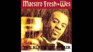 Maestro Fresh Wes - The Black Tie Affair