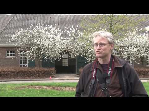 Mijn Plek - Jorgen Janssens