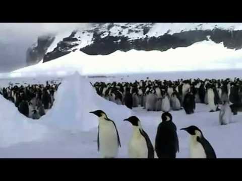 entrevista oficial del libro La estrategia del pingüino