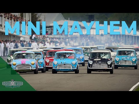 Opening lap mayhem in the all-Mini Goodwood Revival race