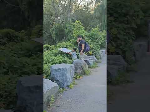 ##walk #nature #pleasesubscribe ❤️❤️