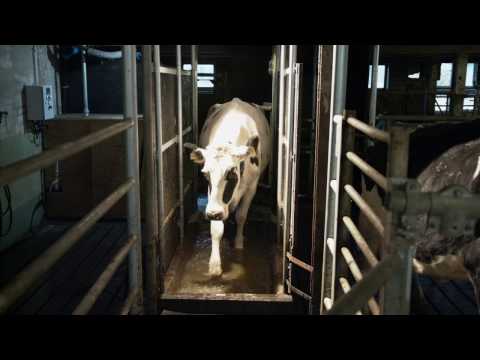 Fussbad von Kuhperfect