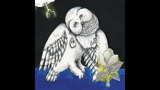 Songs: Ohia — John Henry Split My Heart