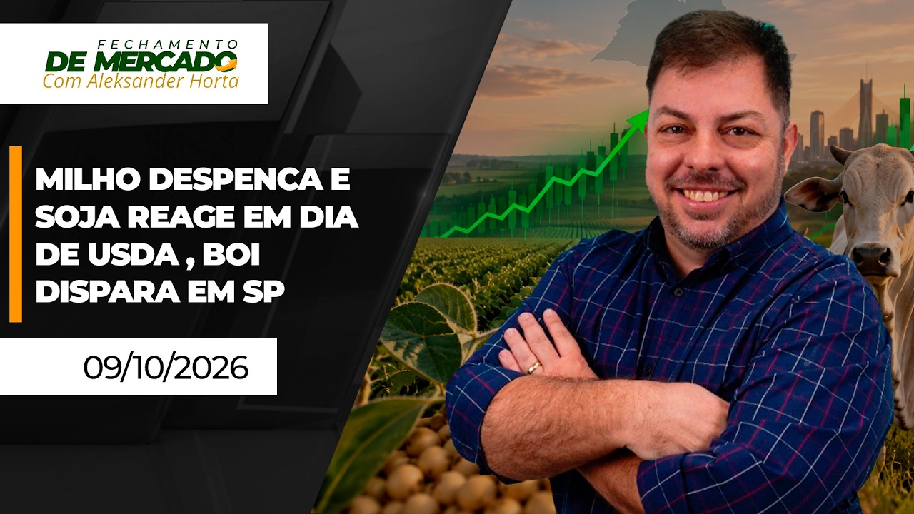 FECHAMENTO DE MERCADO - Milho despenca e soja reage em dia de USDA , boi dispara em SP
