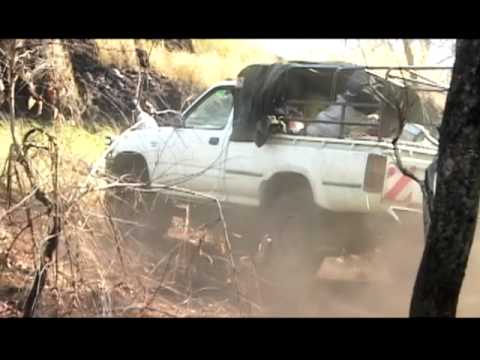 Thumbnail for Fearless video