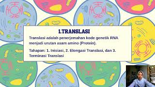 Download lagu PROTEIN SINTESIS - 01. Adinda Permata S XII-3 mp3