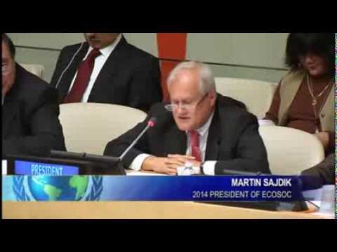 A New President for a New ECOSOC