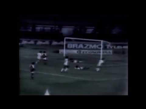 Campeonato Mineiro de 1981 -   Cruzeiro  2  x  1  Guarani de Divinópolis