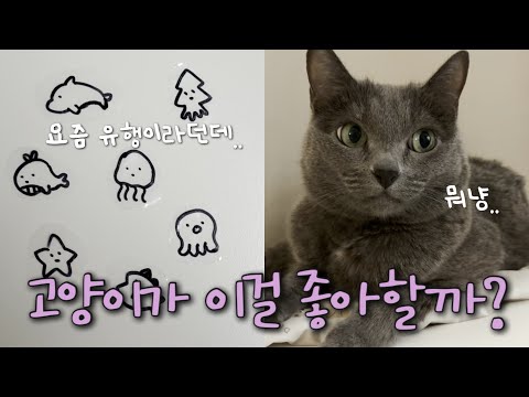 요즘 유행하는 물놀이 장난감, 고양이 반응은?