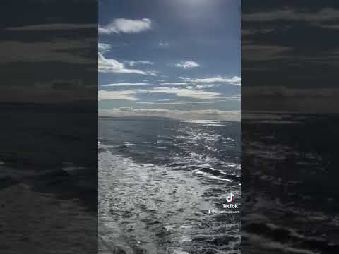 Arabic kadal 🤩#arrahman#tamilsong#california#santamonica #beach#waves#travel #losangeles