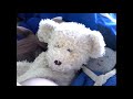 RWT The Bearsons Series 2 Episode 15 The Bearsons Sings About Channel 5 Drama Characters