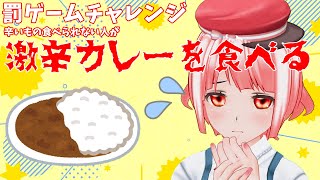 【Webカメラ】無印良品の５辛カレーを食べる！