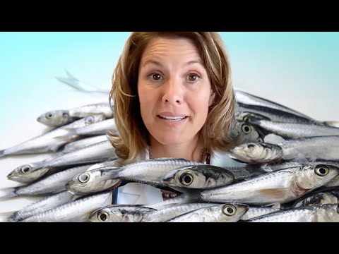 ONLY Sardines for 70 Days. What happened?