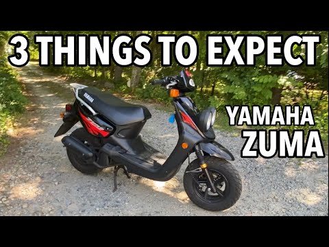 3 things you MUST EXPECT when buying YAMAHA ZUMA (50cc)