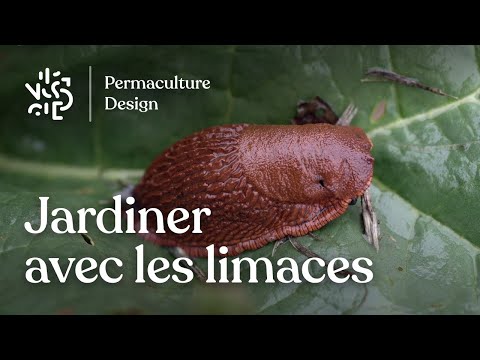 Jardiner avec les limaces et les escargots