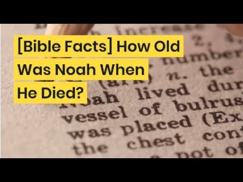 How Old Noah