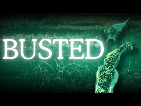 How To Counter: CARNOTAURUS