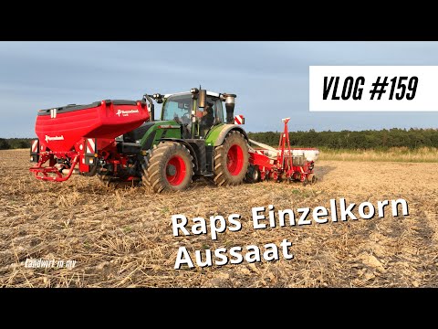 Vlog #159 Single grain rape sowing with a Fendt 724 One to a Kverneland Optima
