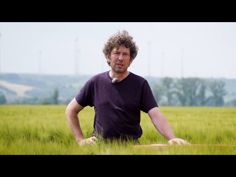 LG on Tour Getreide: Wintergerste - Anbaubedeutung und Sortensituation