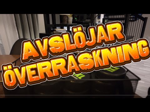 Avslöjar överraskning, Ture arg samt merch kommer hem.