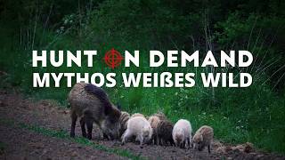 Mythos weißes Wild von  ⁨@schwarzwaldhunters⁩