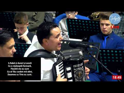 Fratii Strugariu - Mai aproape de cer