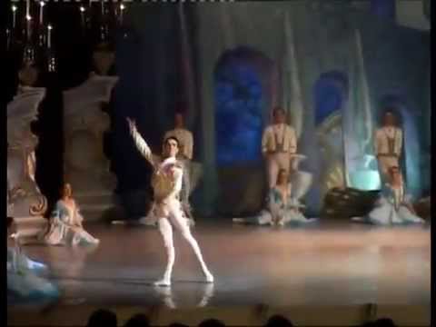 Evgen Lagunov - variation from The Marriage of Figaro ballet