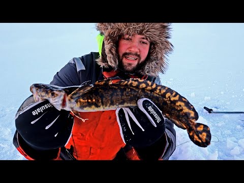 MADETTA OULUSTA KOUKUILLA JA PILKILLÄ - MATEEN NYLKEMINEN JA MADEKEITTO