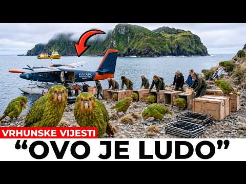 FLORIDA JE PUSTILA ROBOTIČKE ZEČEVE DA UBIJU PITONE, ALI REZULTAT JE BIO MNOGO GORI