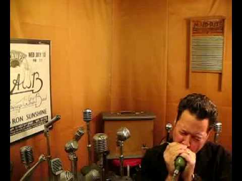 Custom Shure 520 Green Bullet Harp Mic, 1959 CM Element