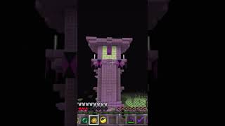 もうダメかも.エンドシティー26【マインクラフト】　#shorts