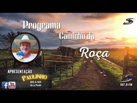 Programa: Caminho da Roça - 26/05/25 - Apresentação: Paulinho