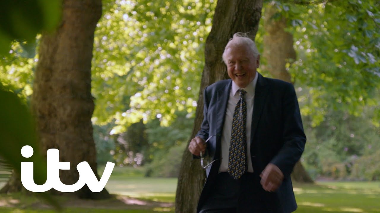 The Queen's Green Planet | Family Trees | ITV - YouTube
