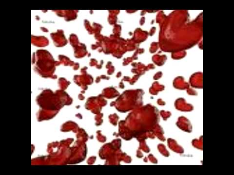 VIEJO NANDEZ - El Abandonado