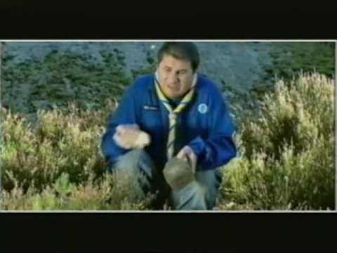 Markoolio Vilse i skogen