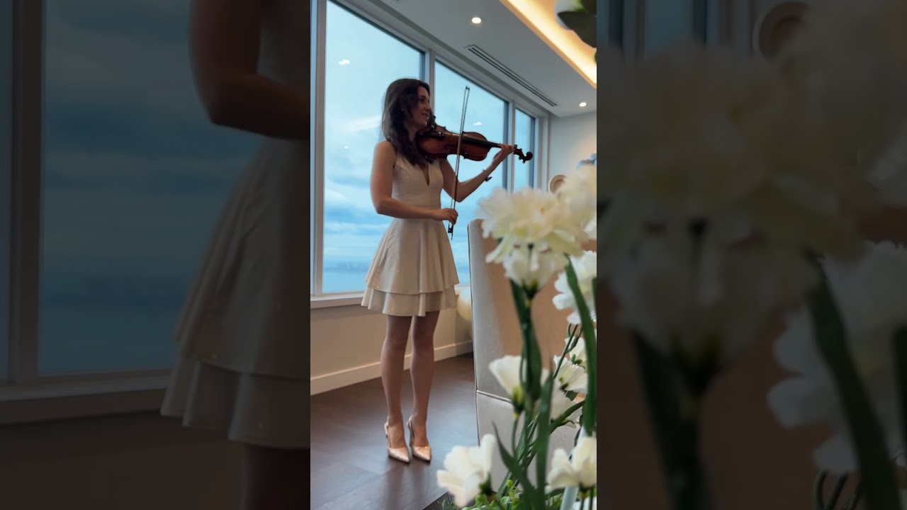 Promotional video thumbnail 12 for Wonder Violin