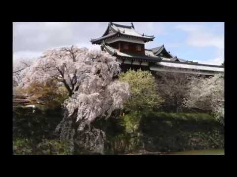 郡山城跡の四季