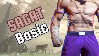 Punish Counter Combos