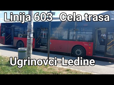 Linija 603:Ugrinovci-Ledine (Cela trasa)
