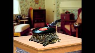 Piebald - One Hundred Percent Good