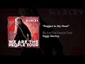 Reggae In My Head – Ziggy Marley live | We Are The People Tour, 2017